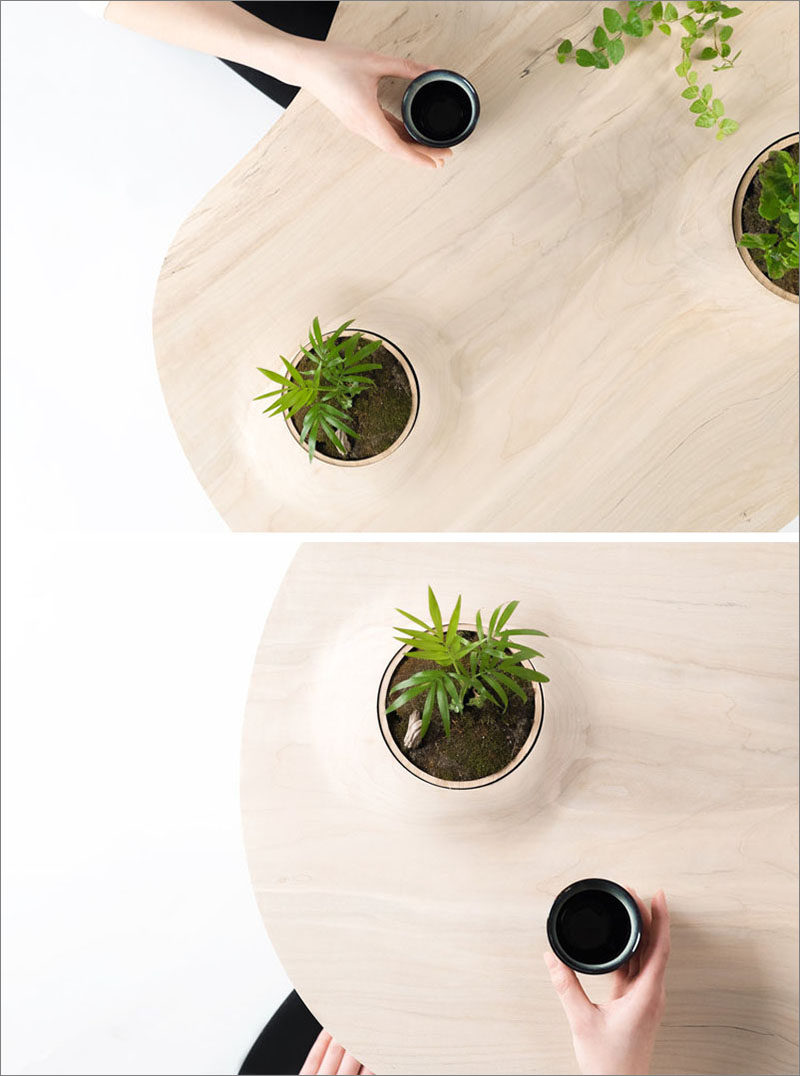 Toronto-based design studio Wooyoo, has created the Pokopoko Table, a modern wood table that has small pockets of green space. #ModernTable #CoffeeTable #Design #ModernFurniture