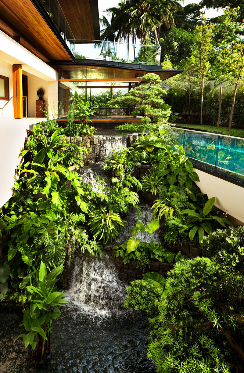 A landscaping design feature of this modern house, is a waterfall surrounded by lush plants, that flows down to a pond, creating a serene experience for the homeowners. #Waterfall #LandscapeDesign #Garden #Landscaping #WaterFeature