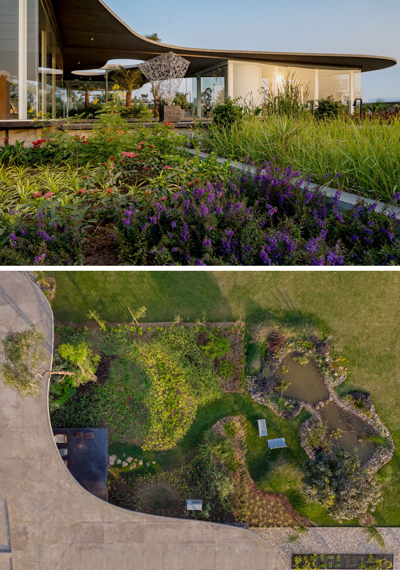 The landscaping around this modern office provides a quiet place for relaxation and enjoyment of the flowering shrubs, water features, and different kind of grasses. #Landscape #Yard #Garden