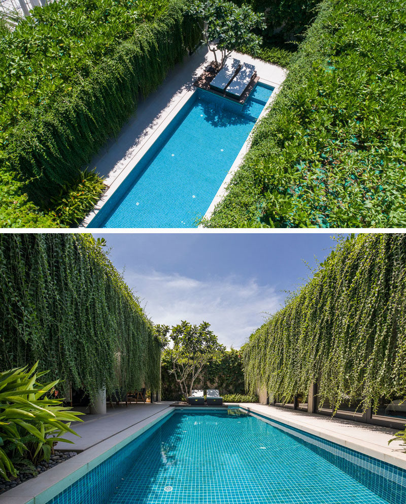 Landscaping Ideas - Hanging gardens provide a lush environment for the swimming pool and privacy for the interior rooms. #Gardens #HangingGarden #PlantCurtain #Landscaping #SwimmingPool