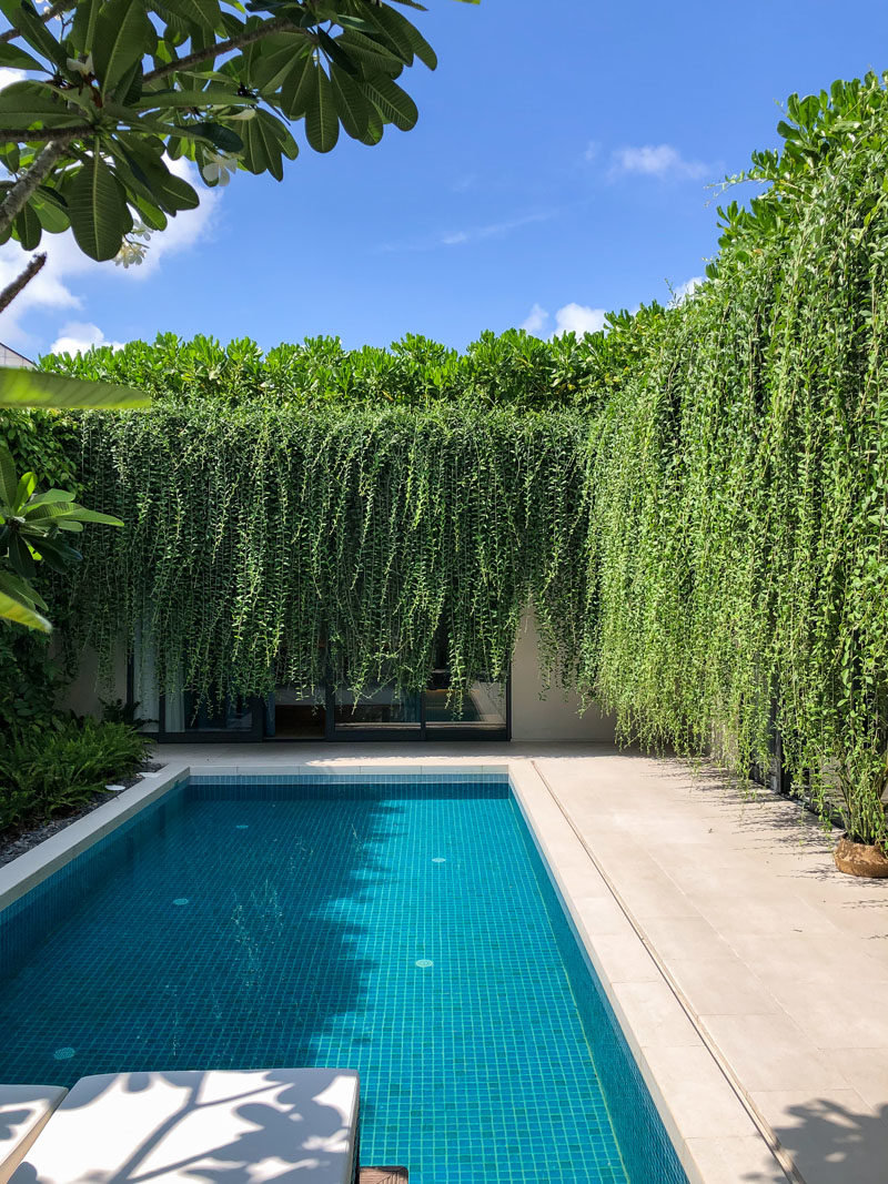 Landscaping Ideas - Hanging gardens provide a lush environment for the swimming pool and privacy for the interior rooms. #Gardens #HangingGarden #PlantCurtain #Landscaping #SwimmingPool