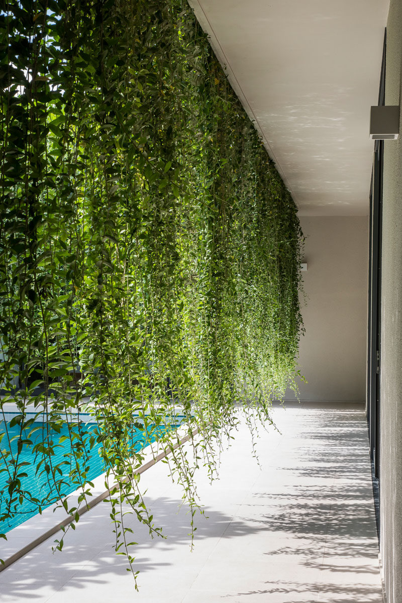 Landscaping Ideas - Hanging gardens provide a lush environment and privacy for interior rooms. #Gardens #HangingGarden #PlantCurtain #Landscaping