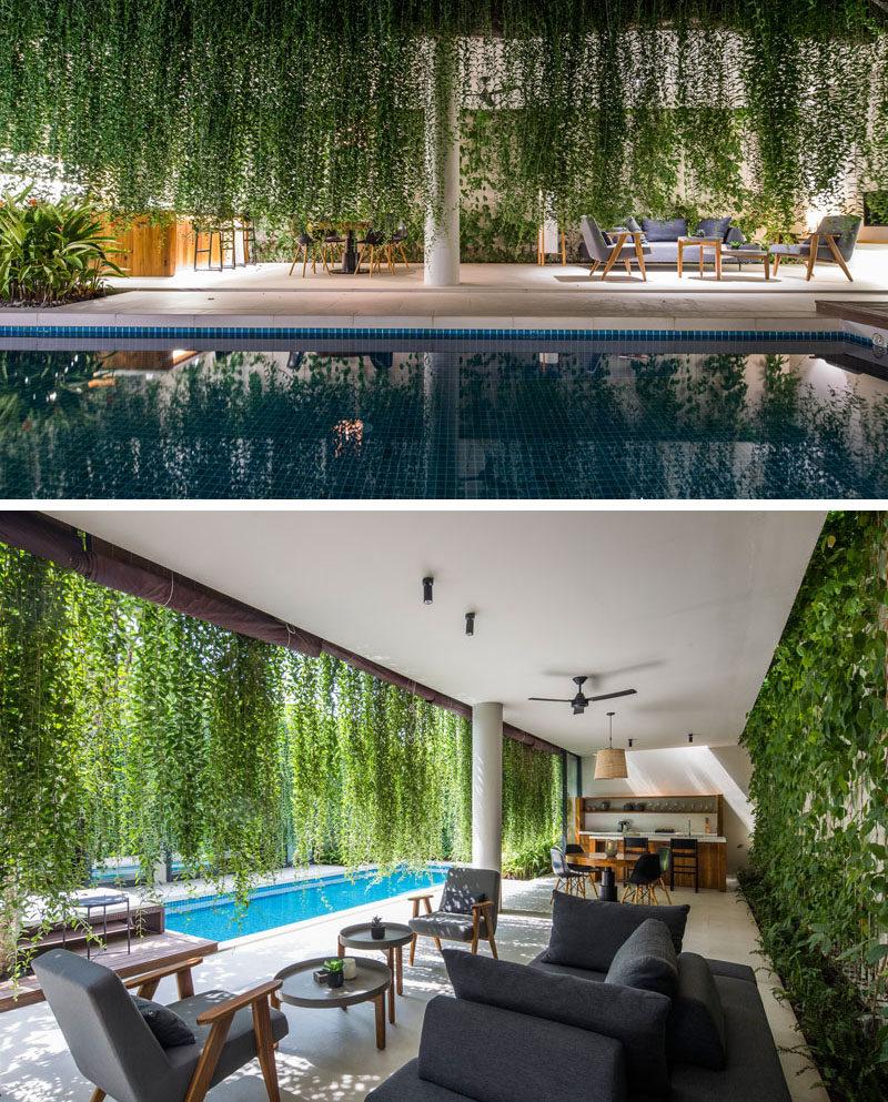 Landscaping Ideas - Hanging gardens provide a lush environment for the swimming pool and privacy for the interior rooms. #Gardens #HangingGarden #PlantCurtain #Landscaping #SwimmingPool