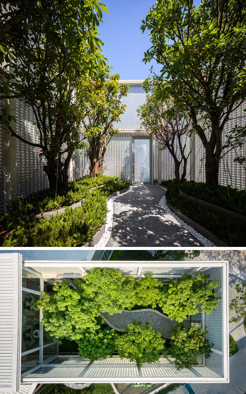 Landscaping Ideas - This modern glass block sales gallery features an interior courtyard with mature trees and a pathway. #Landscaping #InteriorCourtyard #GardenDesign