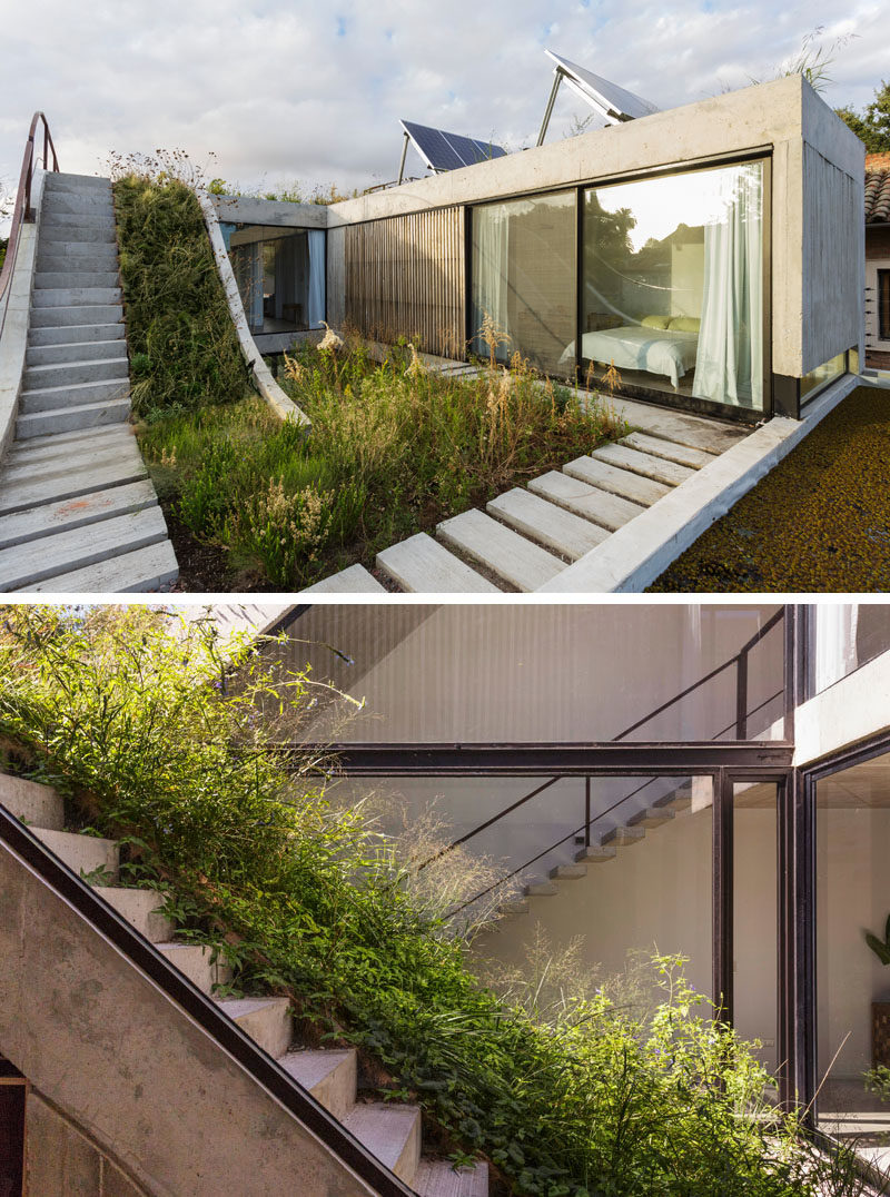 Rooftop Garden Ideas - This modern concrete house has a garden that travels over three levels. #RooftopGarden #GardenDesign #ModernGarden
