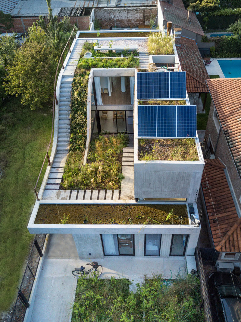 Rooftop Garden Ideas - This modern concrete house has a garden that travels over three levels. #RooftopGarden #GardenDesign #ModernGarden