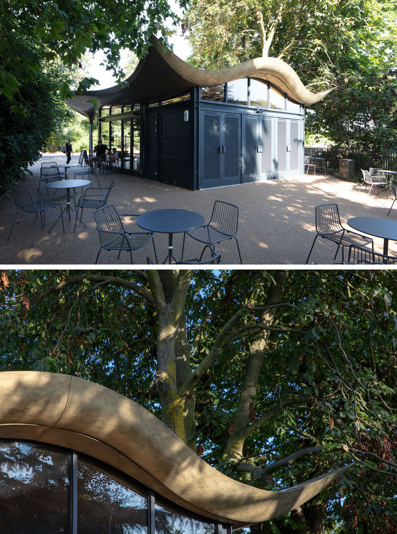 This modern coffee house has a design that echoes a stingray’s flight through water, and draws inspiration from Japanese teahouses. #ModernCoffeeHouse #CoffeeHouse #Architecture #Cafe #CoffeeShop #Sculptural