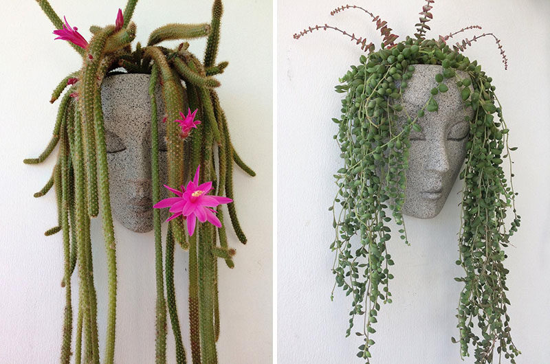 Wall Planter Ideas - HeadPlanters are a fun wall planter that allows you to create an instant personality for the sculptural face by adding succulents or cacti. #WallPlanter #WallPlanterIdeas #HomeDecor #DecorIdeas #WallArt #ModernWallArt