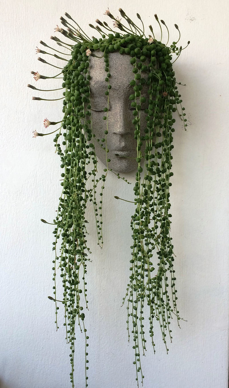 Wall Planter Ideas - HeadPlanters are a fun wall planter that allows you to create an instant personality for the sculptural face by adding succulents or cacti. #WallPlanter #WallPlanterIdeas #HomeDecor #DecorIdeas #WallArt #ModernWallArt