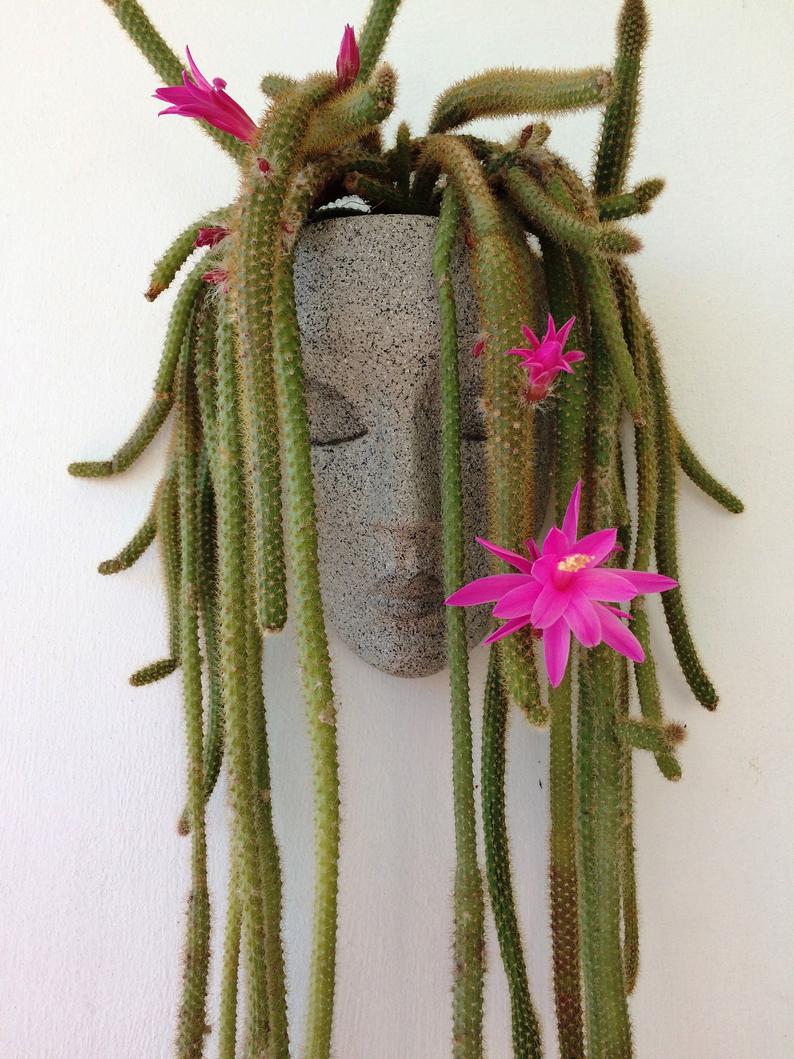 Wall Planter Ideas - HeadPlanters are a fun wall planter that allows you to create an instant personality for the sculptural face by adding succulents or cacti. #WallPlanter #WallPlanterIdeas #HomeDecor #DecorIdeas #WallArt #ModernWallArt