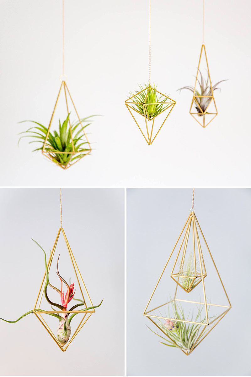 Decor Ideas - Lana Rouse of himmelilana, has designed a collection of modern air plant holders with a geometric shape. #ModernDecor #DecorIdeas #AirPlantHolder #Design