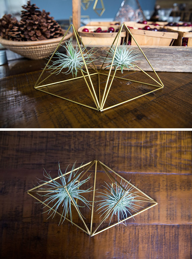 Decor Ideas - Lana Rouse of himmelilana, has designed a collection of modern air plant holders with a geometric shape. #ModernDecor #DecorIdeas #AirPlantHolder #Design