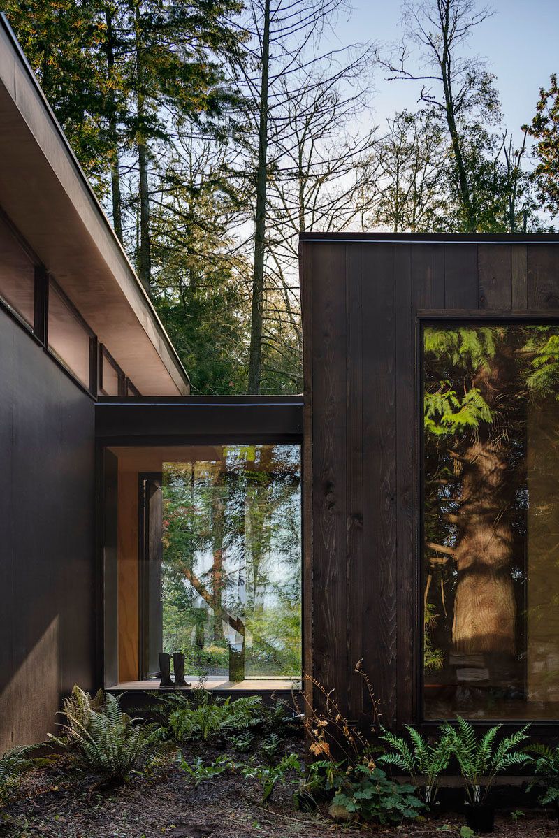 Rough sawn cedar siding and cement panel finishes on the exterior of these cabins will patina naturally over time until the cabin blends in with the colors of the forest. #ModernCabin #ModernArchitecture
