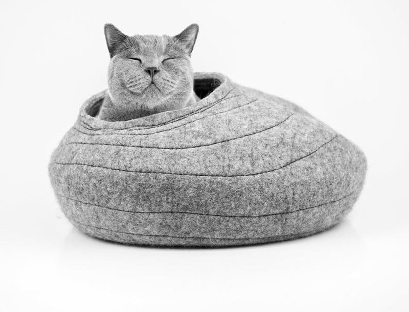 Cat Bed Ideas - Kestas and Inga of BureBurePets, have designed a collection of modern cat caves that are made from felt. #ModernCatCaves #ModernCatBed #CatBed #CatBedIdeas #FeltedCatBed #FeltedCatCave