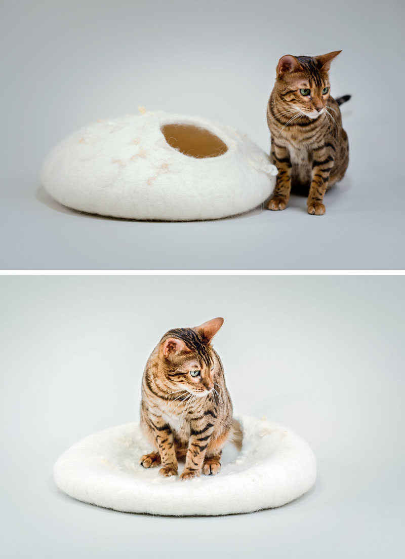 Cat Bed Ideas - Kestas and Inga of BureBurePets, have designed a collection of modern cat caves that are made from felt. #ModernCatCaves #ModernCatBed #CatBed #CatBedIdeas #FeltedCatBed #FeltedCatCave