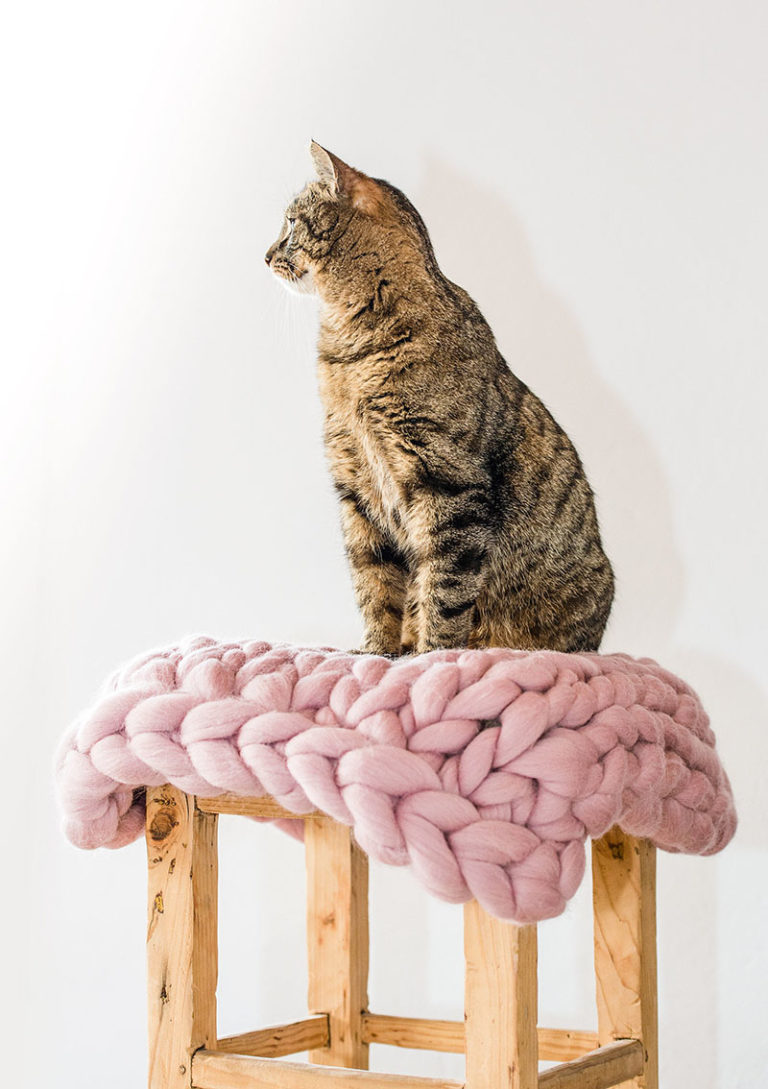 Cat Bed Ideas Chunky Knit Cat Beds By BureBurePets
