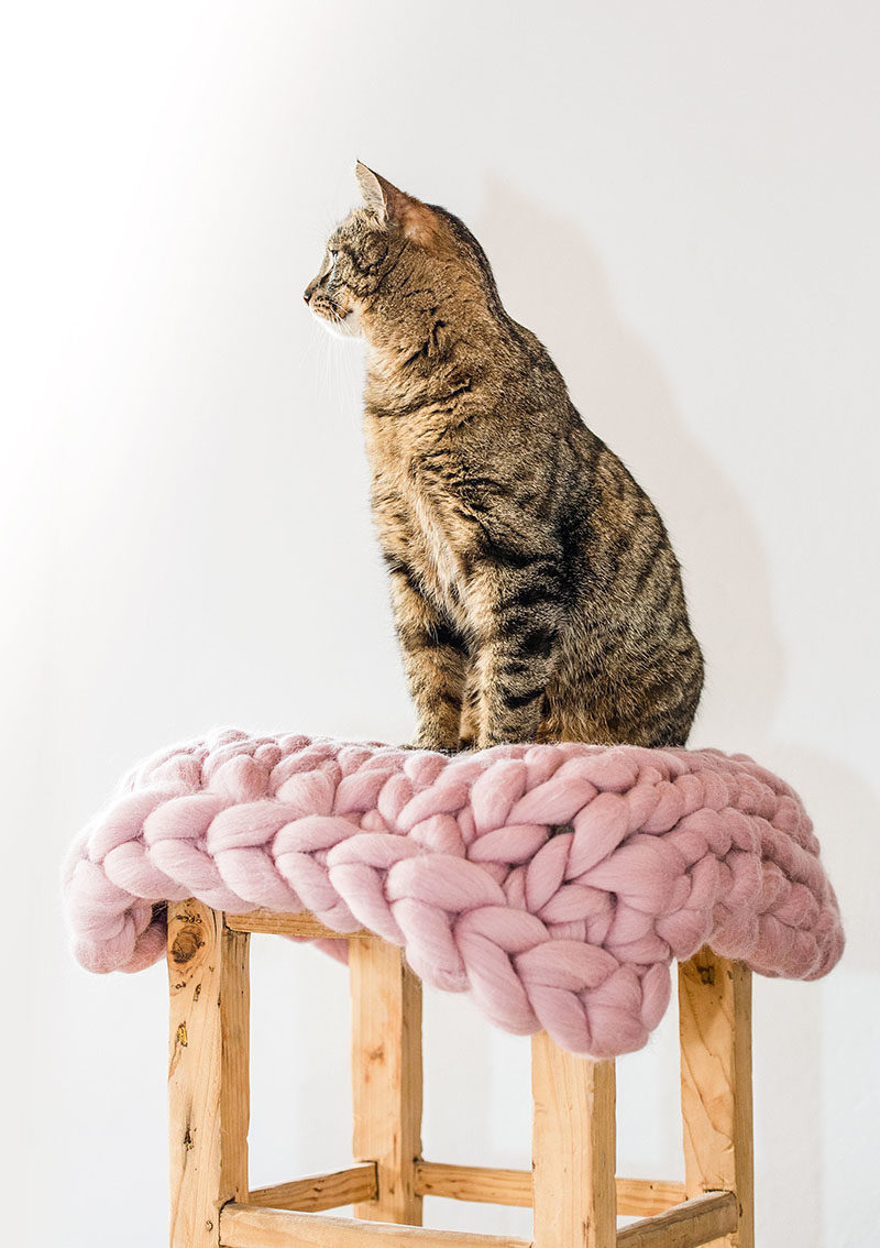 Cat Bed Ideas - This chunky knit cat bed is made from 100% natural wool, and features modern colors. #ModernCatBed #CatBedIdeas #ModernPetBed #ChunkyKnit #KnittedCatBed #Kitten #Cat #Design