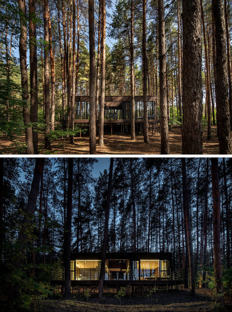 This modern guest house is integrated into the surrounding pine forest thanks to the patio and the panoramic glazing. #Architecture #Windows #ModernGuestHouse