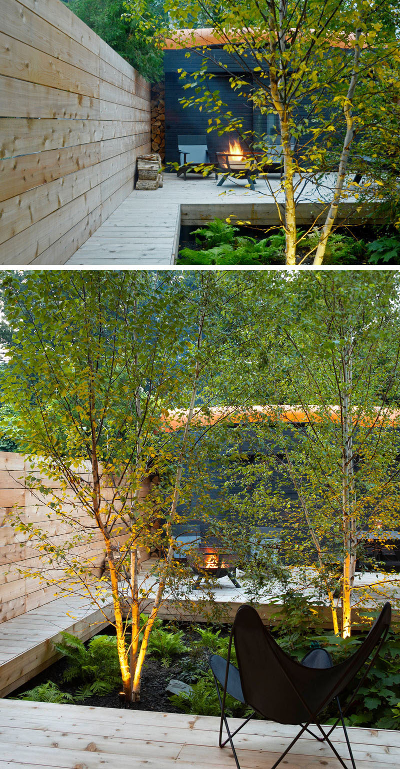 Landscaping Ideas - The kitchen and dining area of this modern house open out to a secluded and densely treed yard, that has lounge seating and a fire pit, evoking an intimate campsite in the heart of the city. #Landscaping #LandscapingIdeas #GardenIdeas #YardIdeas