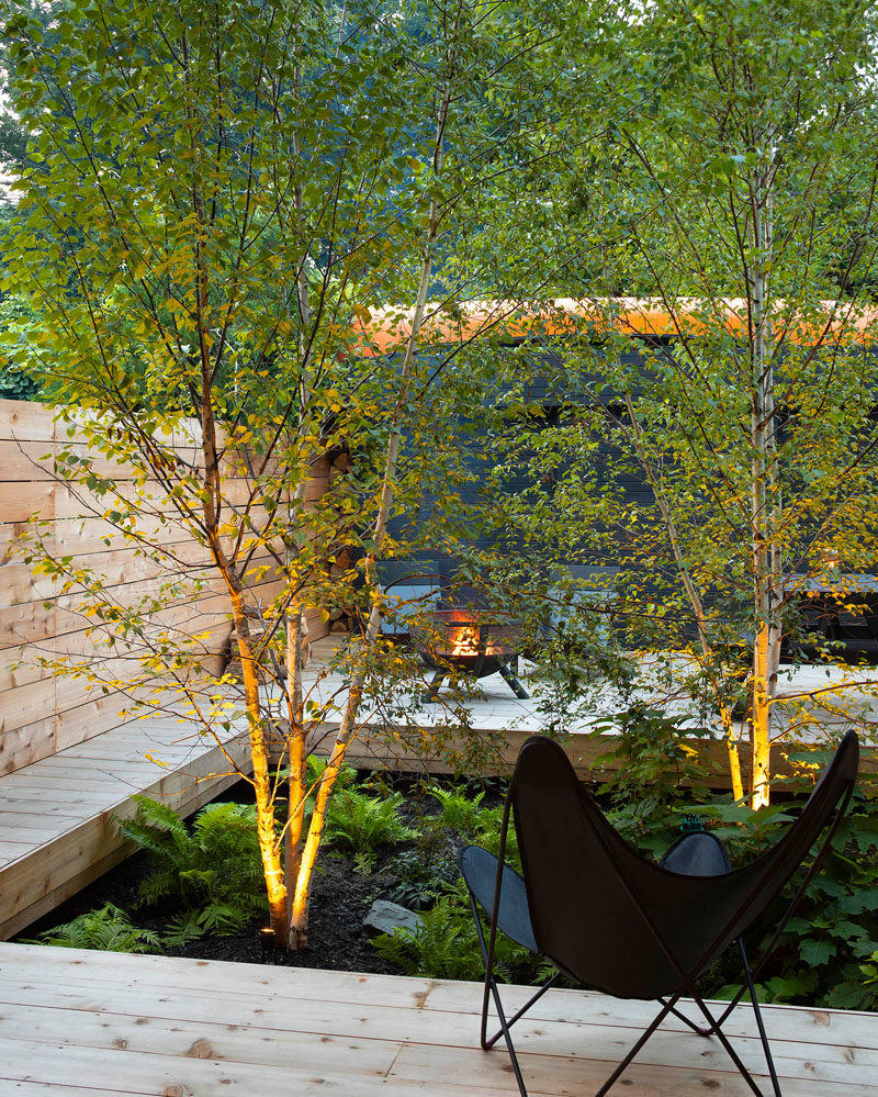 Landscaping Ideas - The kitchen and dining area of this modern house open out to a secluded and densely treed yard, that has lounge seating and a fire pit, evoking an intimate campsite in the heart of the city. #Landscaping #LandscapingIdeas #GardenIdeas #YardIdeas