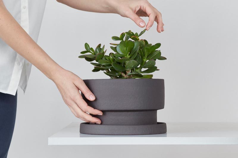 Home Decor Ideas - Designer Zuzana Firla of porcelain studio Bisqit, has launched a collection of modern planters that have a simple aesthetic. #HomeDecorIdeas #ModernPlanters #ModernFlowerPots