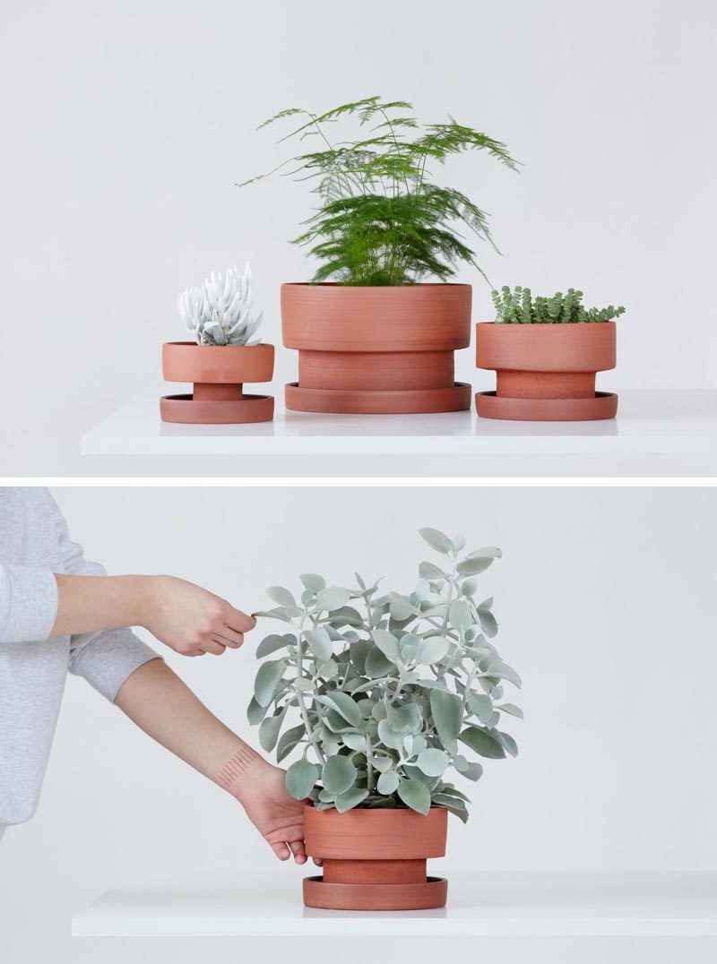 Home Decor Ideas - Designer Zuzana Firla of porcelain studio Bisqit, has launched a collection of modern planters that have a simple aesthetic. #HomeDecorIdeas #ModernPlanters #ModernFlowerPots