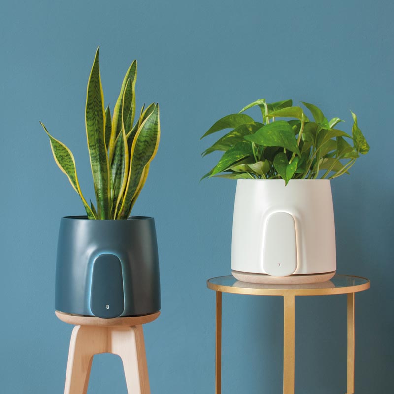 Natede Air Purifier by Vincenzo Vitiello - Laboratori Fabrici #AirPurifier #Design #ProductDesign