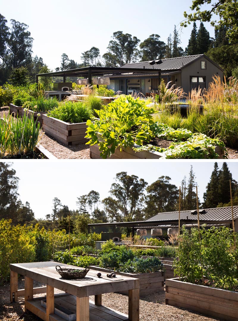 A modern farmhouse with raised vegetable gardens.