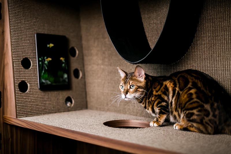 The Cat Flat is a modern three level cabinet designed for cats. It has various textures, scratching poles, brushes, openings and tunnels, as well as a hammock. #CatFurniture #CatCabinet #PetFurniture #Cats #FurnitureDesign #Design
