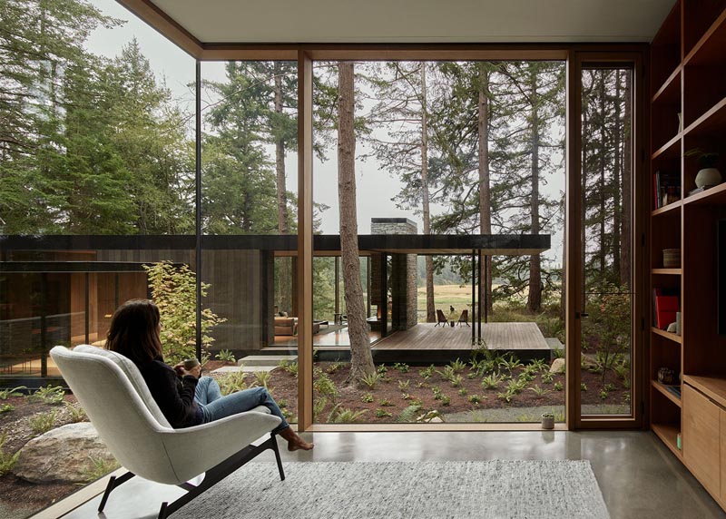 A structure from the main house is home to a library, and looks out to a courtyard of natural and native shrubs and ferns, and is surrounded by large Douglas Fir trees. #Library #Windows #GlassWalls
