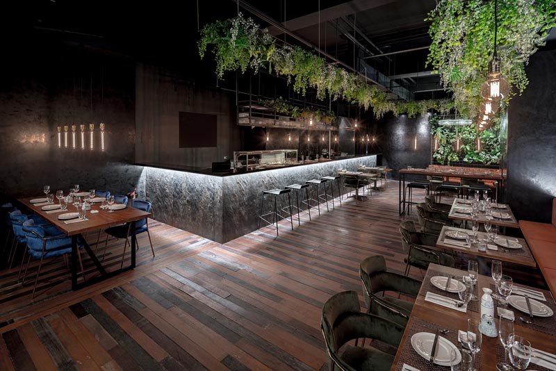 A modern restaurant with dramatic lighting and plants hanging from the ceiling. #ModernRestaurant