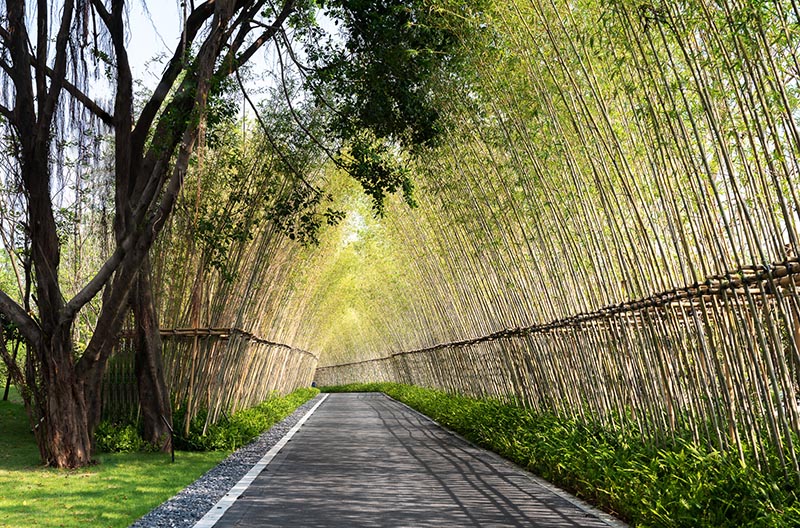 The design of this garden is inspired by traditional Chinese gardens, however it has been reinterpreted into a more contemporary design language.  #Landscaping #GardenDesign #Bamboo