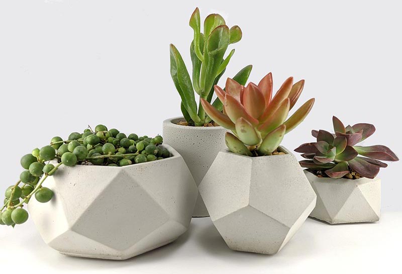 Green Begonia has created a collection of small modern concrete planters that are ideal for succulents and cacti. #ConcretePlanters #Succulents #SucculentPlanters #Cacti #CactiPlanters #ModernHomeDecor #DecorIdeas