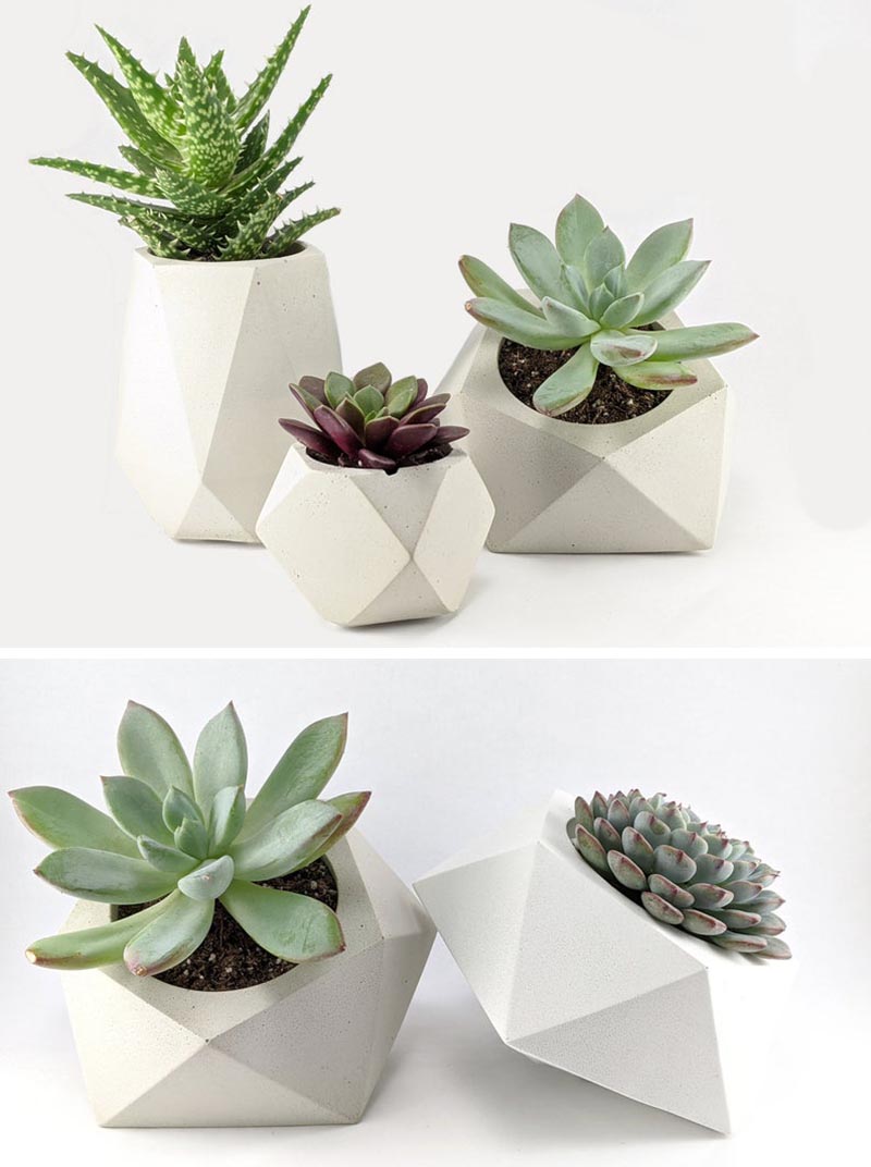 Green Begonia has created a collection of small modern concrete planters that are ideal for succulents and cacti. #ConcretePlanters #Succulents #SucculentPlanters #Cacti #CactiPlanters #TableTopPlanter #ModernHomeDecor #DecorIdeas #WhiteConcrete