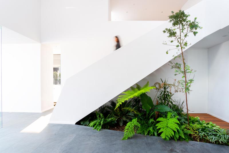 The green of the dense vegetation of this indoor garden contrasts with the black stone floors, and complements the wood path found in the lobby of the home. #IndoorGarden #StairDesign #IndoorPlants #InteriorDesign