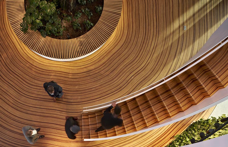 The wood floor of this office atrium has been designed to represent the growth-rings of a tree. #WoodFloor #FlooringIdeas #ArtisticFlooring #SculpturalFlooring