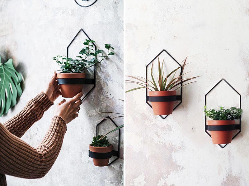 These modern wall planters, which come in a variety of sizes and shapes, have simple yet minimalist designs, that hold a single pot and can display plants like cacti, vines, and succulents. #ModernWallPlanter #WallPlanter #HomeDecor #MinimalistPlanter