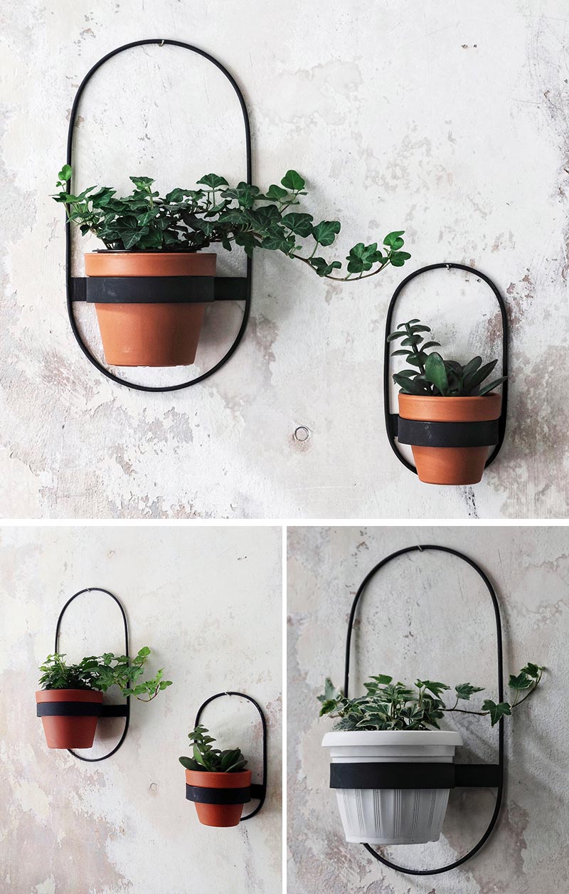 These modern wall planters, which come in a variety of sizes and shapes, have simple yet minimalist designs, that hold a single pot and can display plants like cacti, vines, and succulents. #ModernWallPlanter #WallPlanter #HomeDecor #WallDecor