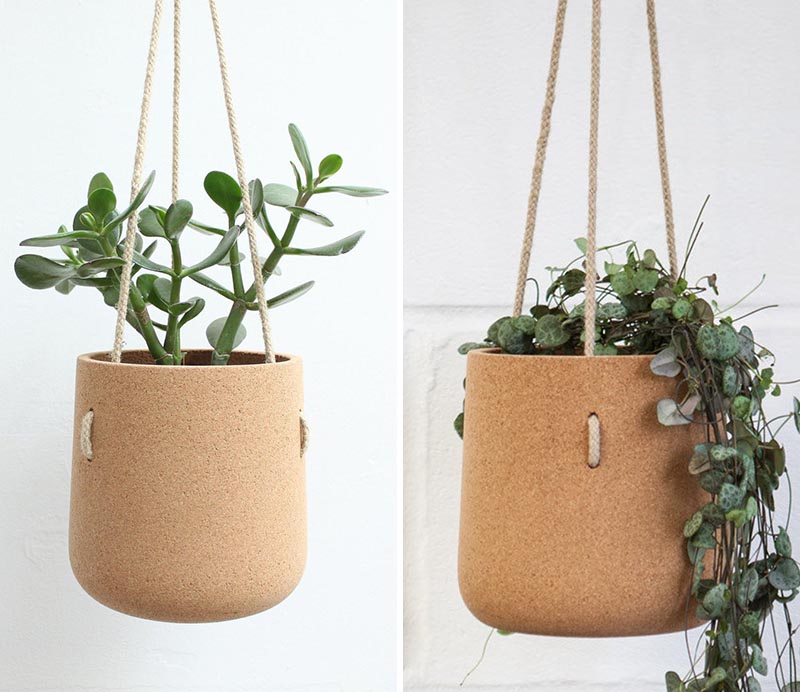 Modern hanging cork planter for cacti and succulents.