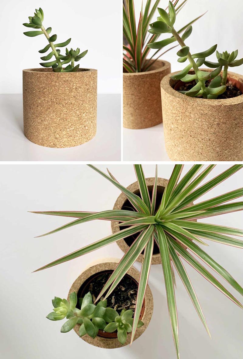 Modern round tabletop cork planters for cacti and succulents.