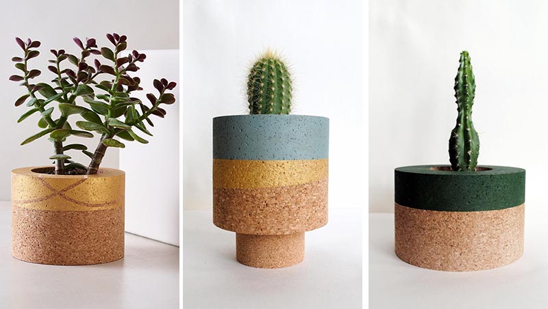 Modern tabletop cork planter with colorful accent for cacti and succulents.