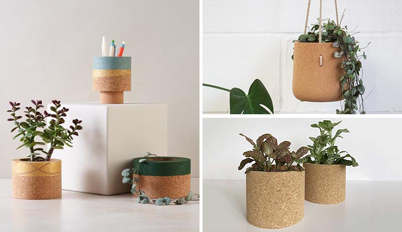Modern cork tabletop and hanging planters for cacti and succulents.
