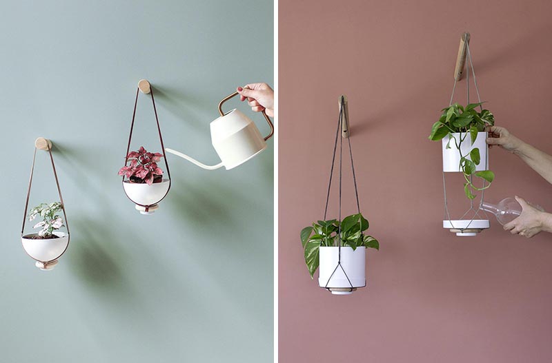 A hanging wall planter for succulents, cacti, and small plants.