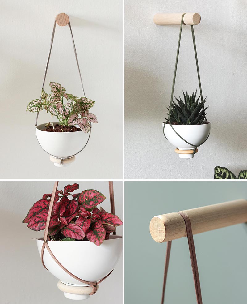 A modern hanging wall planter for succulents and cacti.