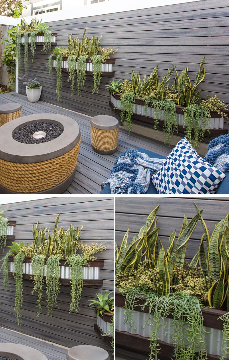 On the wall of this fence are three custom-designed and made corrugated steel and wood planters, that are filled with sansevieria and senecio with agave, creating a variety of heights and adding a softness to the wall. #OutdoorPlanters #WallPlanters #FencePlanters #Landscaping #SideYard