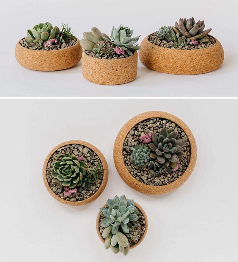 A trio of round succulent pots made from cork.