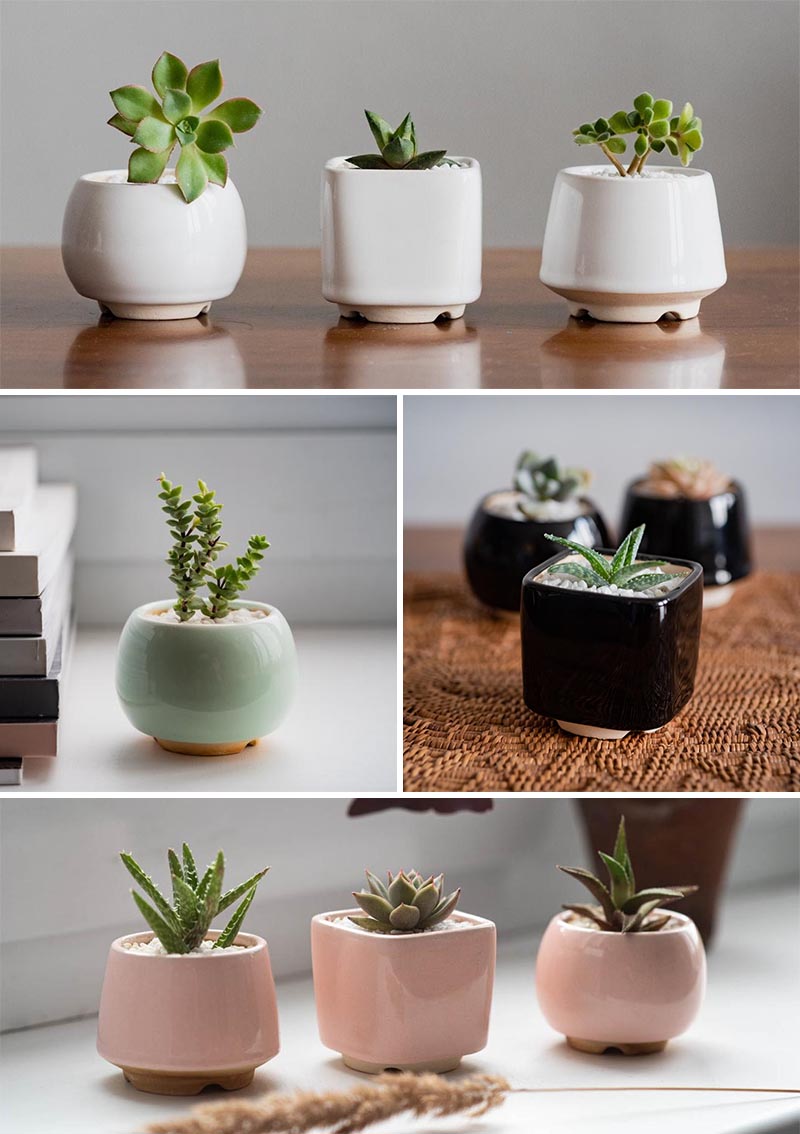 Modern ceramic succulent pots in white, mint green, black, and soft pink.