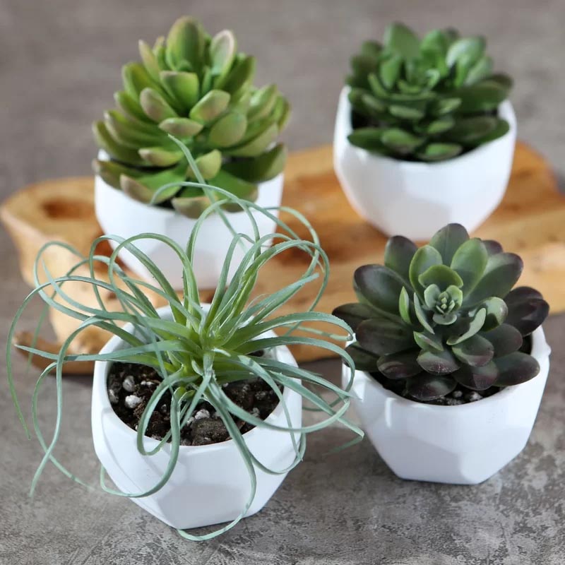 A set of four white small geometric succulent pots.