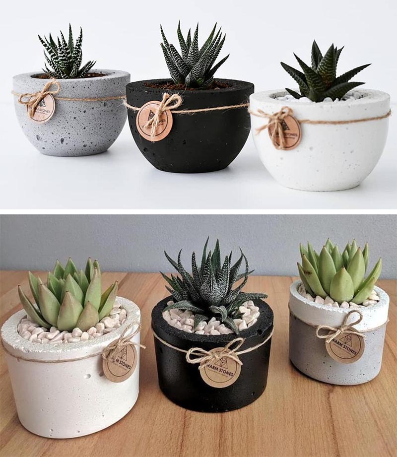 Modern concrete succulent pots in gray, white, and black.