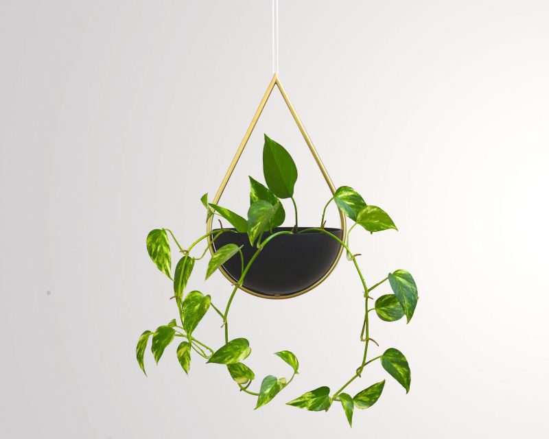 A modern teardrop shaped hanging planter with a brass frame and matte black bowl.